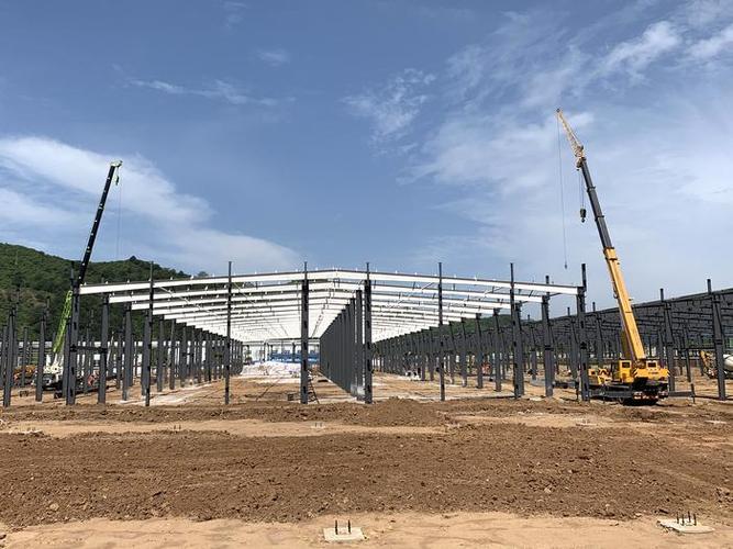 从杏鲍菇到白灵菇 建设集团食用菌工厂化生产的自动化进阶之路
